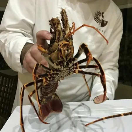 Rossini Luxury 렌데