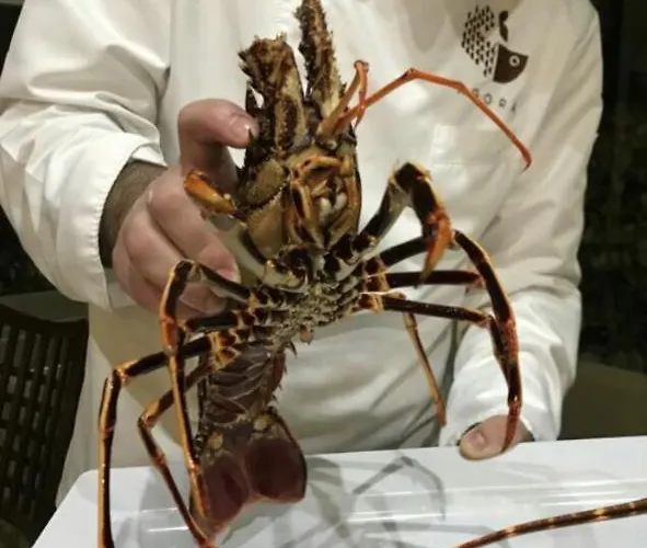 Rossini Luxury Rende